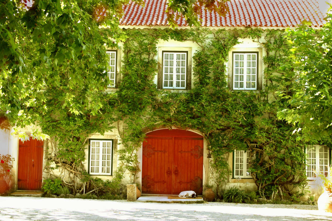 Manor House Quinta da Alcaidaria Mor