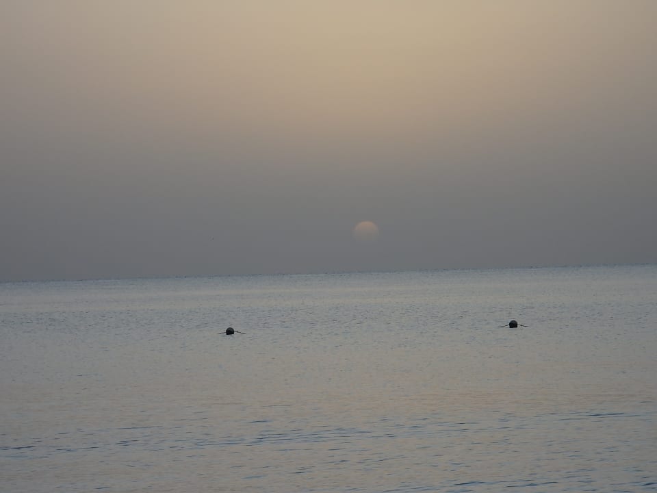 Ausblick Hotel Gorgonia Beach Resort