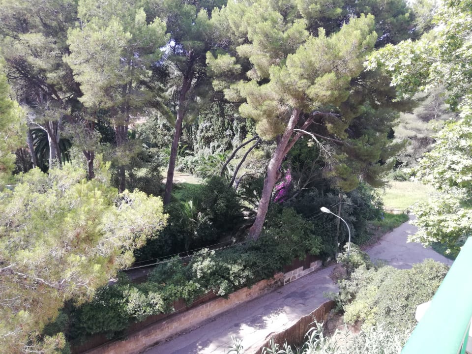 Ausblick Lago Garden