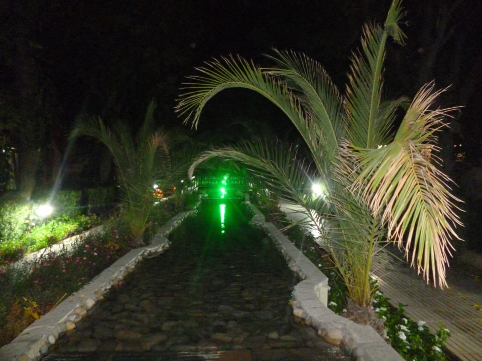 Nachts beleuchtet Can Garden Beach