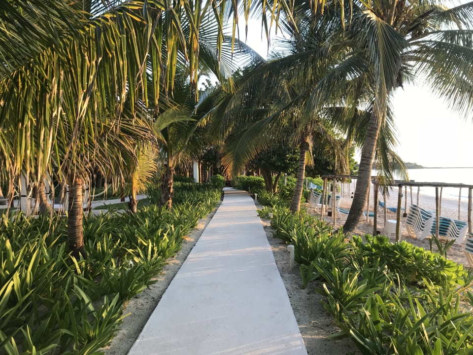 Gartenanlage Akumal Bay Beach & Wellness Resort