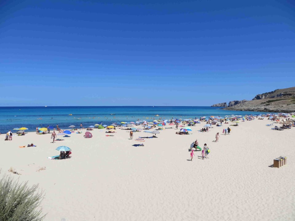 Einfach prima Zafiro Cala Mesquida