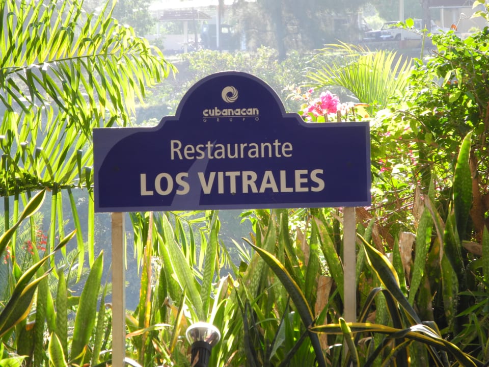 Gartenanlage Hotel Versalles