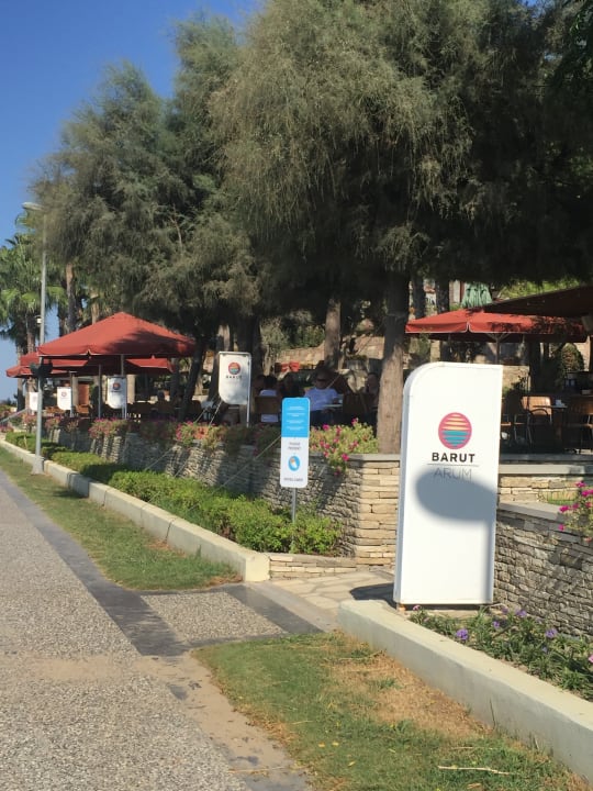 Strand Arum Barut Collection