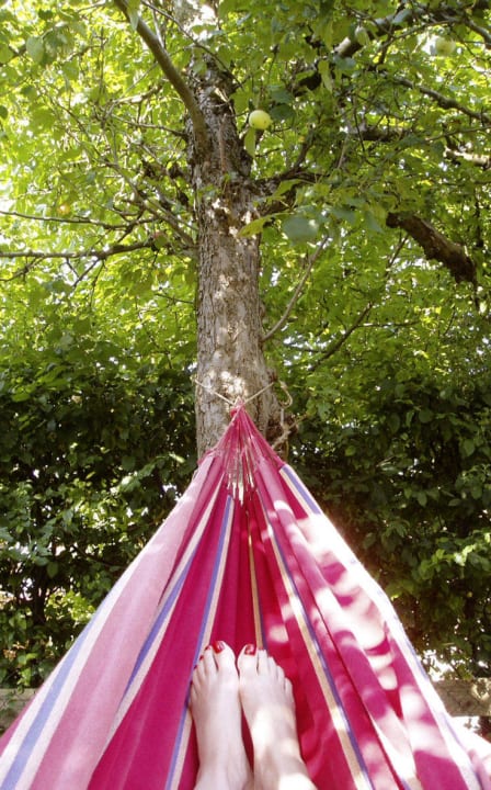 Relax BioPension Kirschenfee