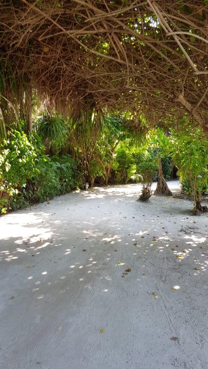 Der tägliche Weg Adaaran Select Meedhupparu Island Resort - Premium All Inclusive