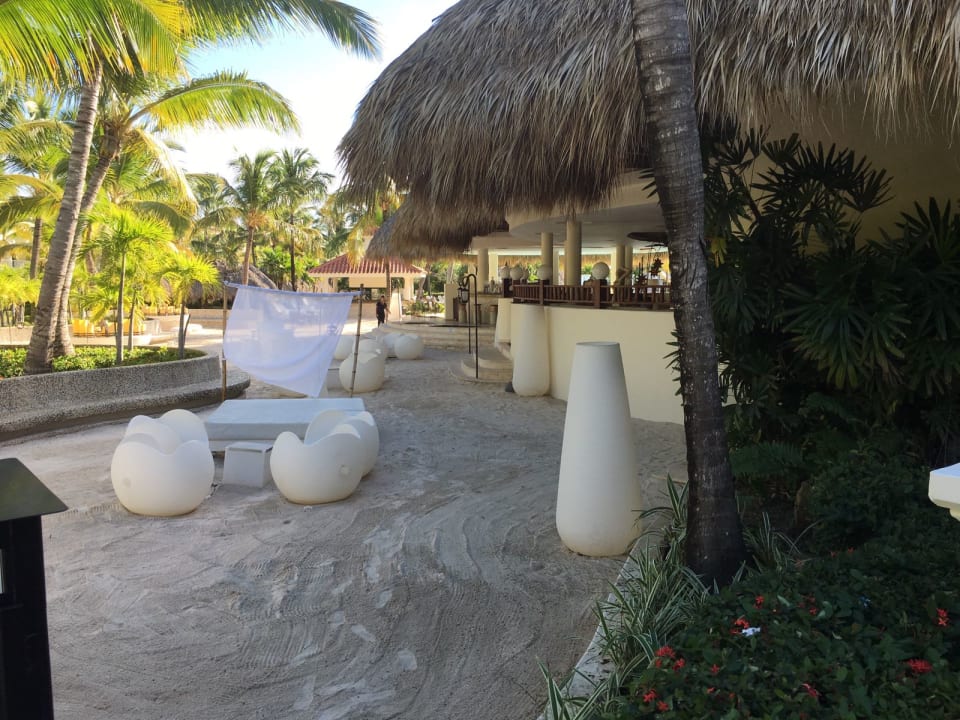 Restaurant Meliá Caribe Beach Resort-All Inclusive