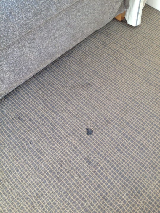 Teppich Hotel Novotel Chartres