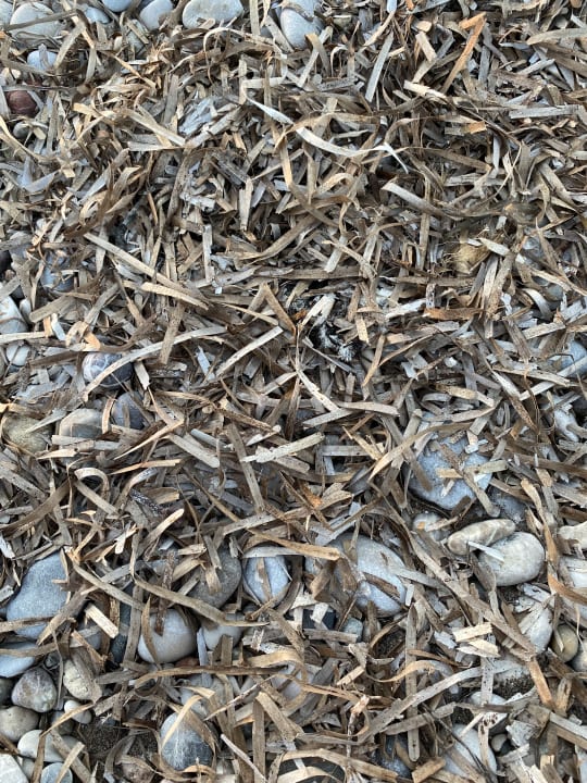 Strand TUI KIDS CLUB Alex Beach