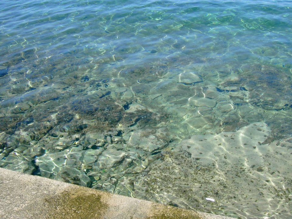 Wasser Veya Maradiso Hotel by Aminess