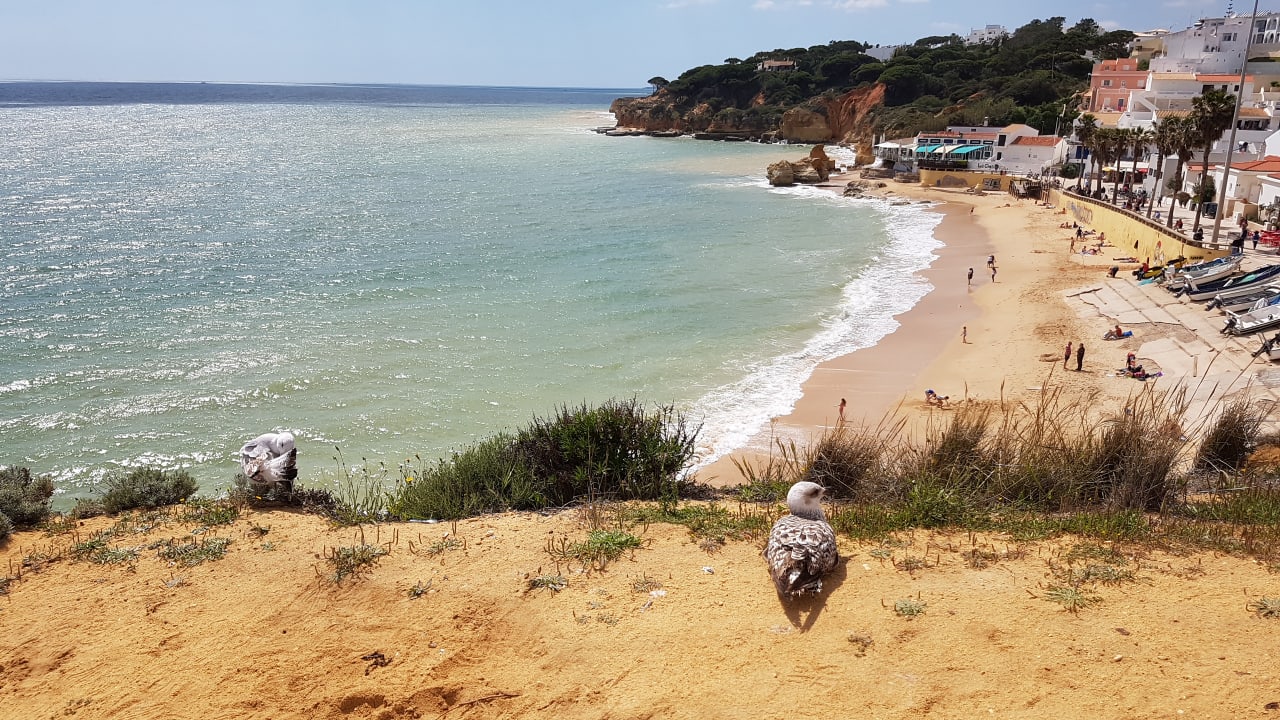 Strand 3HB Guaraná - All Inclusive