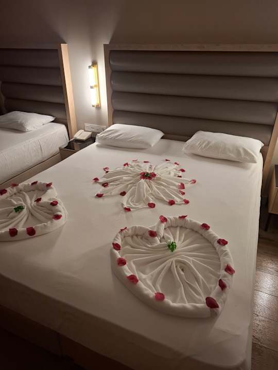 Zimmer Aydinbey Kings Palace & Spa