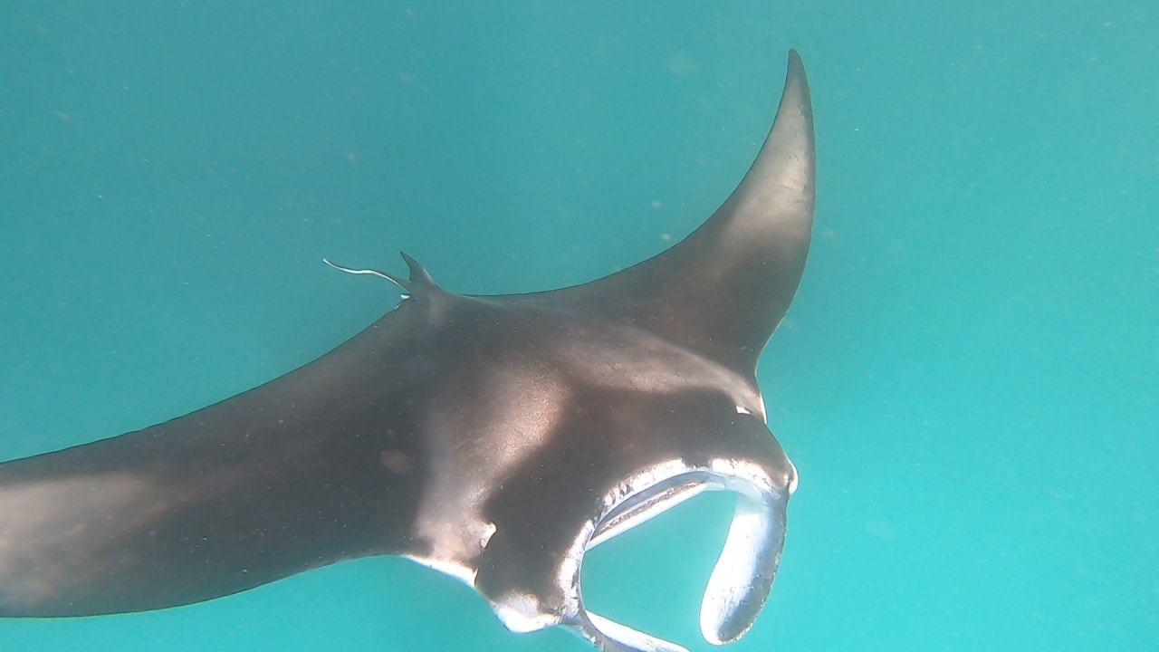 Sport & Freizeit NH Collection Maldives Reethi Resort