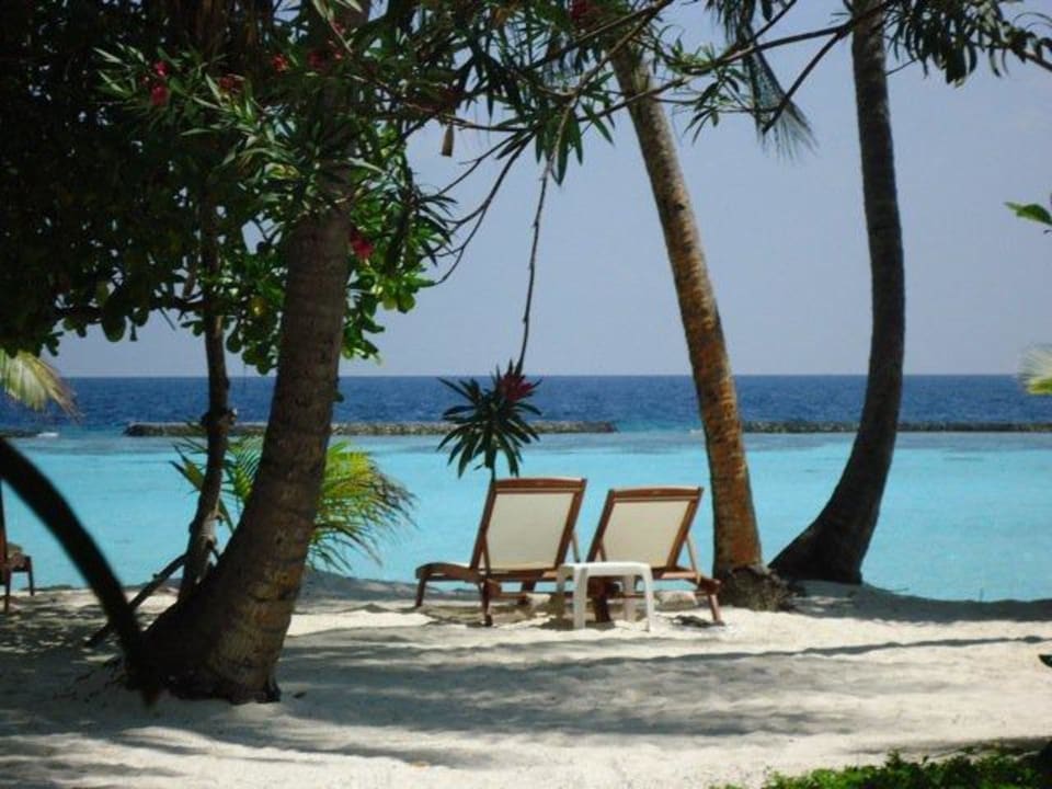 Hier möchte man liegen, oder? Kurumba Maldives