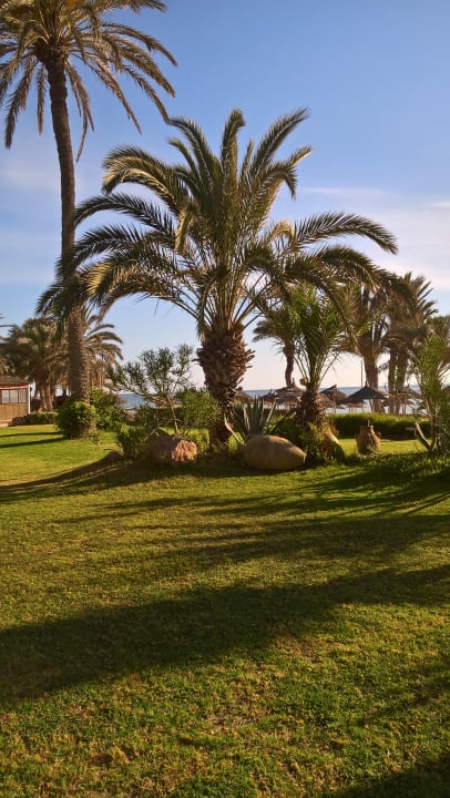 Gartenanlage Hotel Eden Star