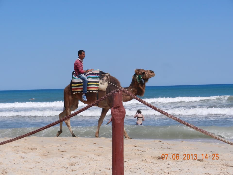 Ohne Worte AQI Venus Beach