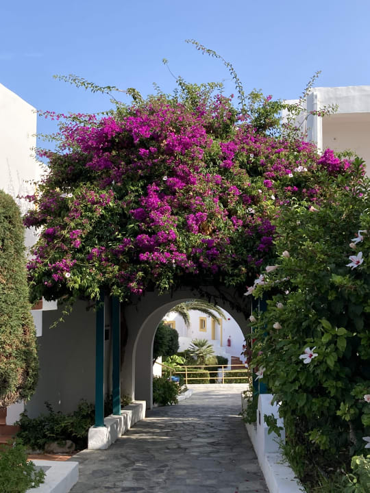 Gartenanlage Mastichari Bay Hotel