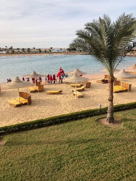 Ausblick Desert Rose