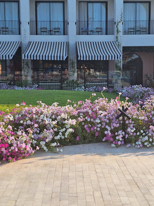 Gartenanlage Desert Rose
