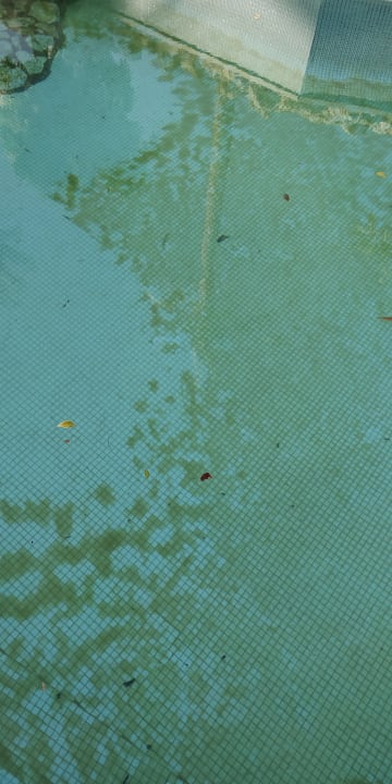 Pool Ghazala Gardens