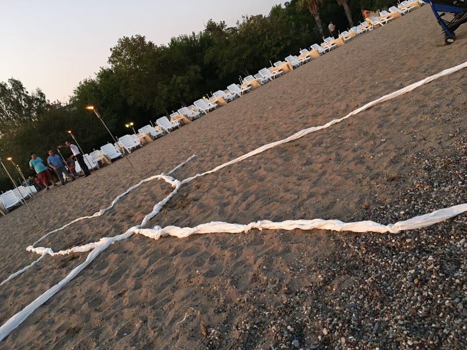 Strand Hotel Gardenia Beach