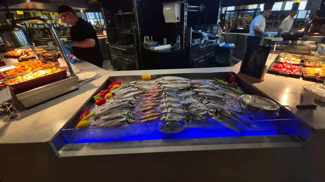 Gastro PALOMA Perissia