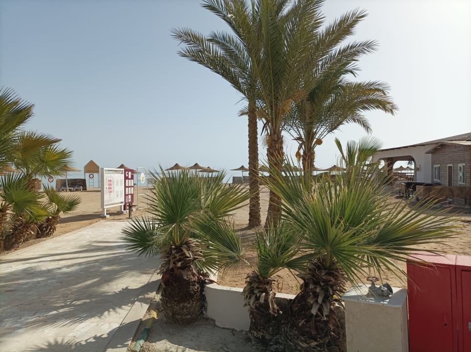 Strand Calimera Blend Paradise