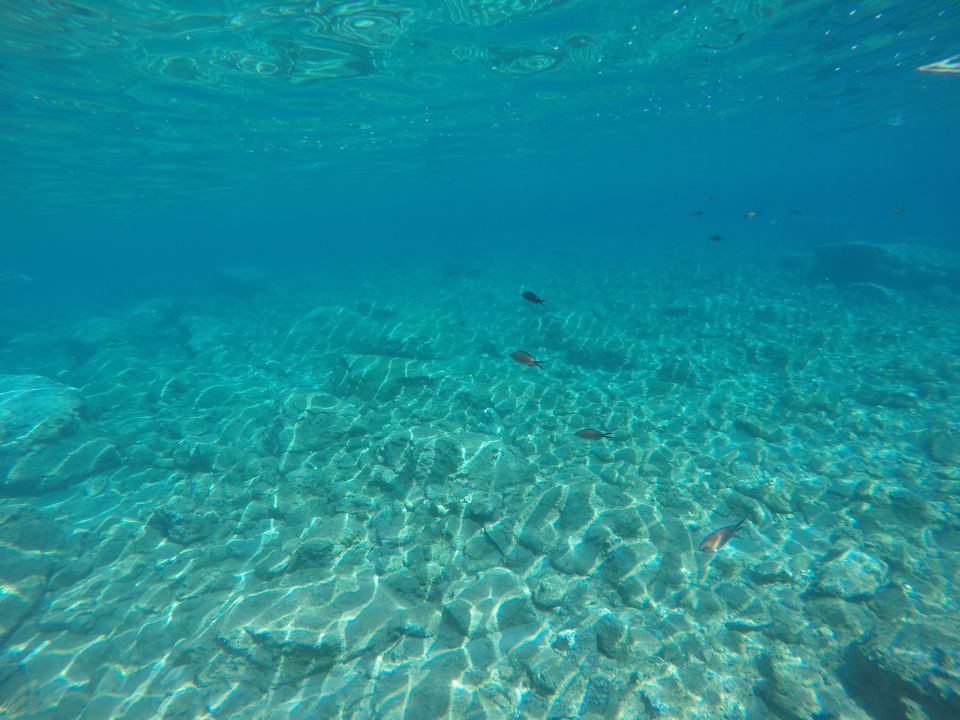 Strand Crystal Springs Beach Hotel