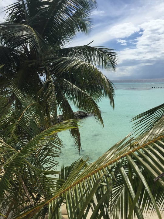 Aus dem Zimmer Nummer 257 Summer Island Maldives