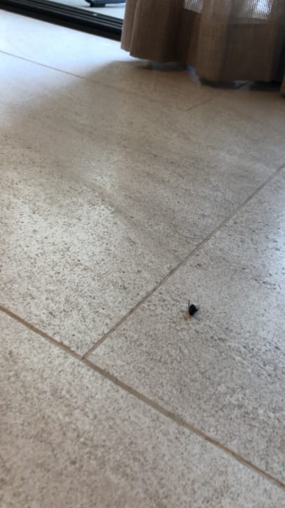 Zimmer Lopesan Costa Bávaro Resort, Spa & Casino