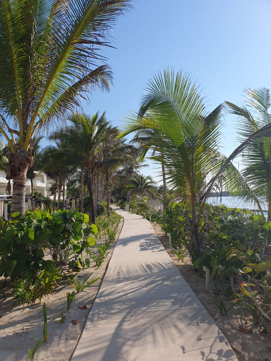 Gartenanlage Akumal Bay Beach & Wellness Resort