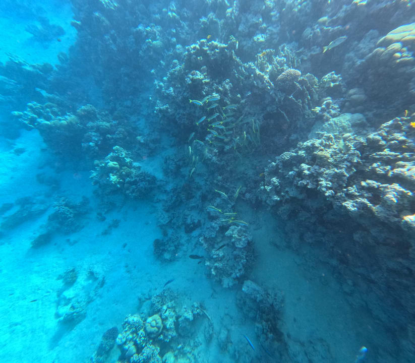 Sport & Freizeit Stella Beach Resort & Spa Makadi Bay