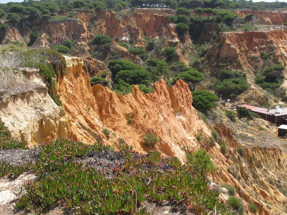 Die Farben der Algarvefelsen 3HB Guaraná - All Inclusive