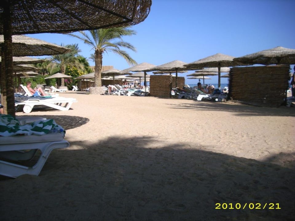 4. und 5. Liegenreihe Fort Arabesque Resort, Spa & Villas