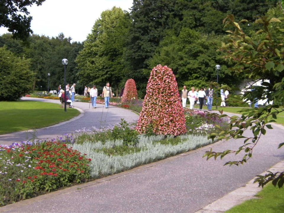 Kurpark Kurhotel Sonnenhof