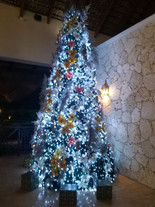 Lobby Punta Cana Princess All Suites Resort & Spa