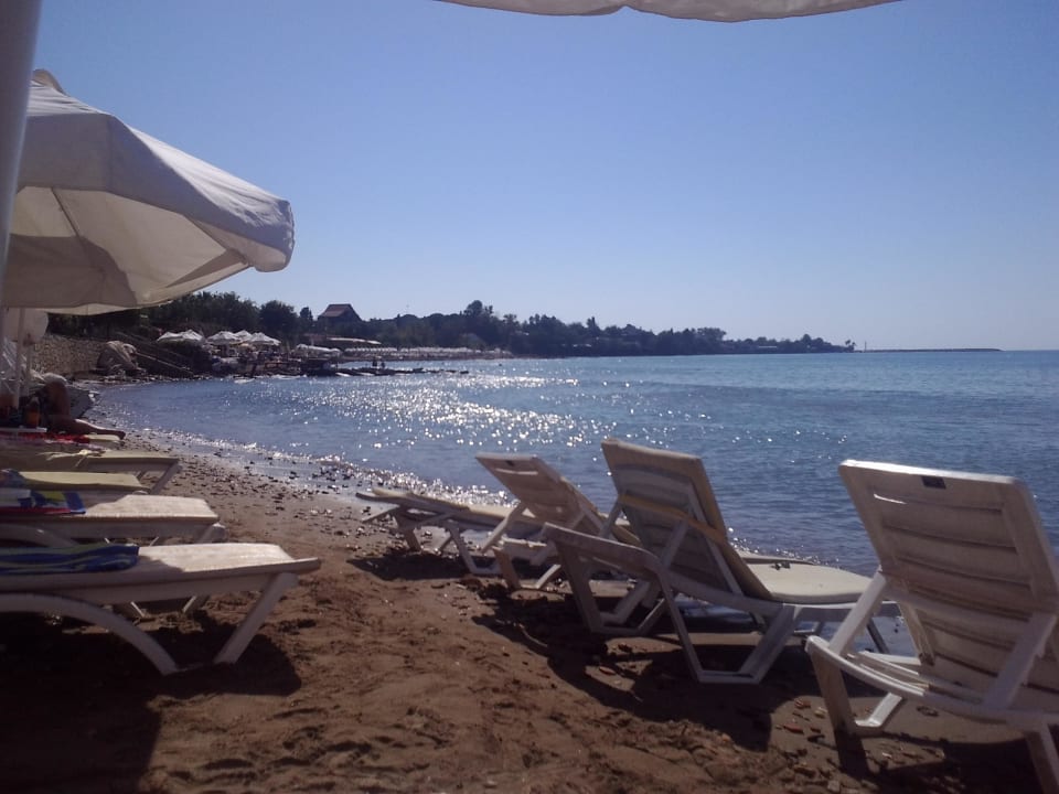 Toller Strand Side Altinkum Hotel