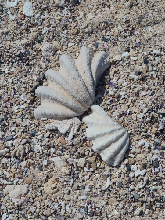 Strand Pickalbatros Villaggio Resort - Portofino