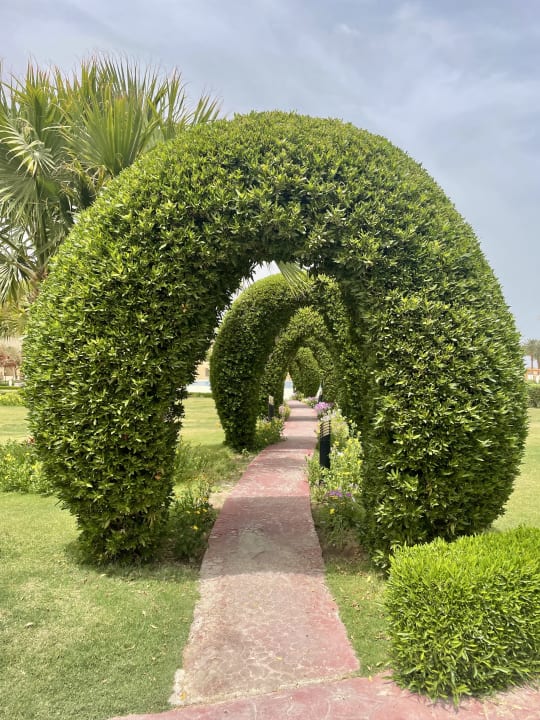Gartenanlage Cleopatra Luxury Resort Makadi Bay