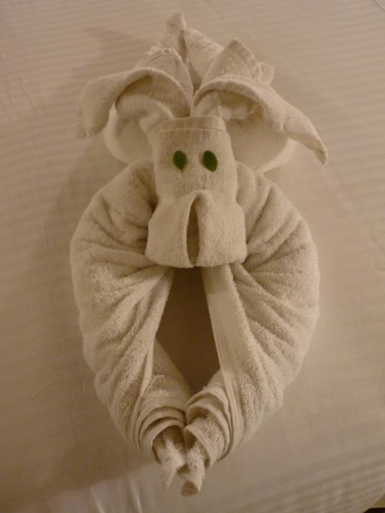 Zimmer Hotel Abad Turtle Beach