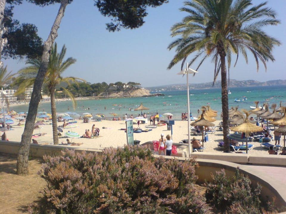 Strand Peguera Bordoy Don Antonio