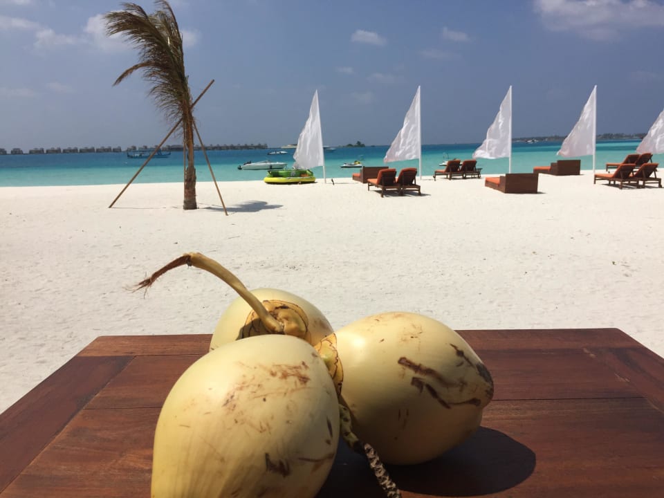 Hauptstrand: leer! Angsana Velavaru