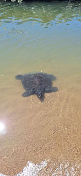 Strand Seher Kumköy Star Resort & Spa