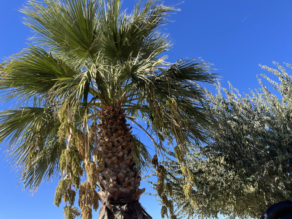 Gartenanlage Aqua Fantasy Aquapark Hotel & Spa