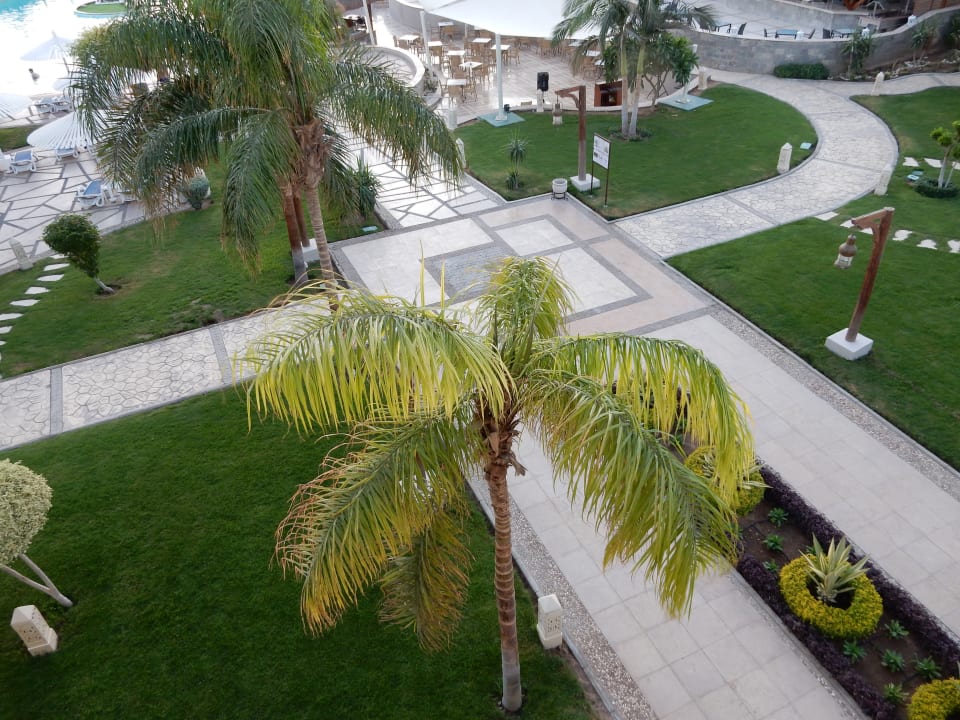 Gartenanlage Iberotel Casa Del Mar Resort