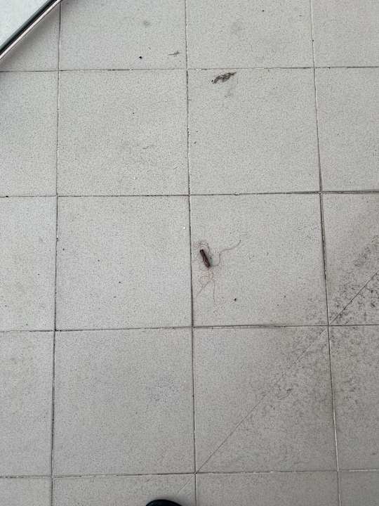 Außenansicht Barceló Angra Marina