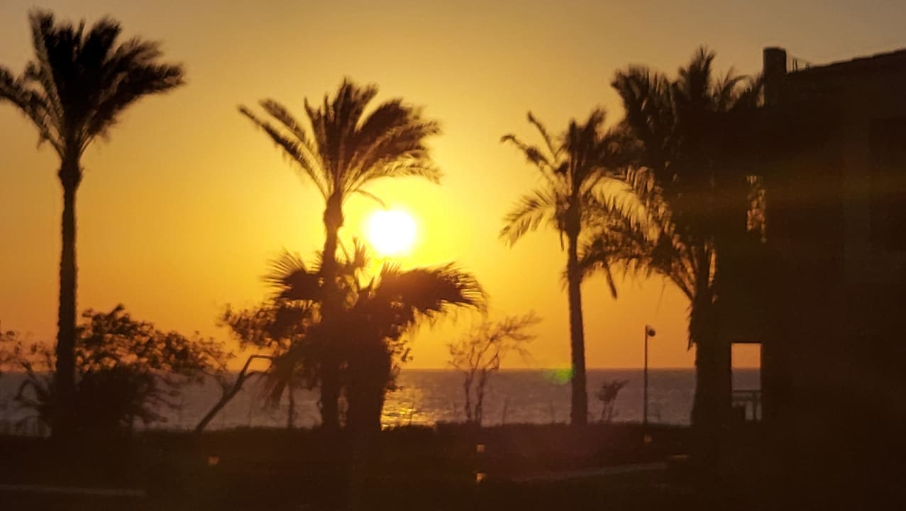 Ausblick Malikia Resort Abu Dabbab