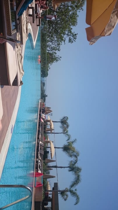 Pool Michell Hotel & Spa