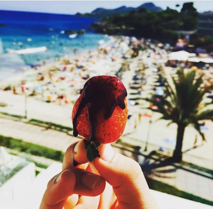 Sonstiges Son Moll Sentits Hotel & Spa