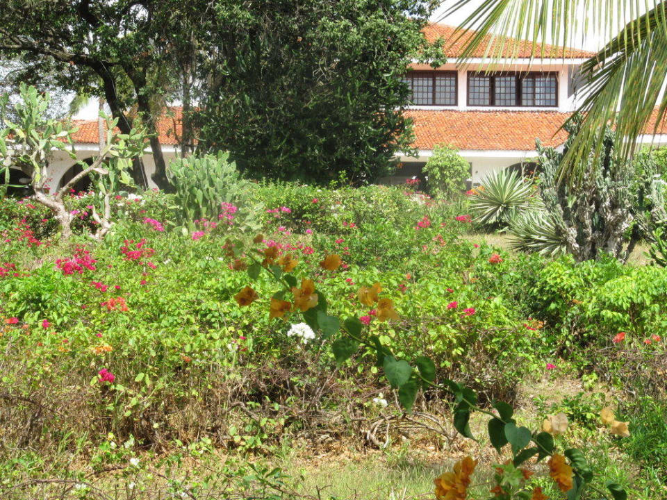 Blick vom Pool Diani Sea Resort